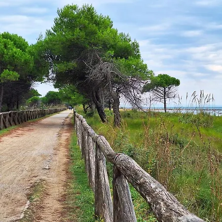 For Your Getaway Near The Beach-beahost *